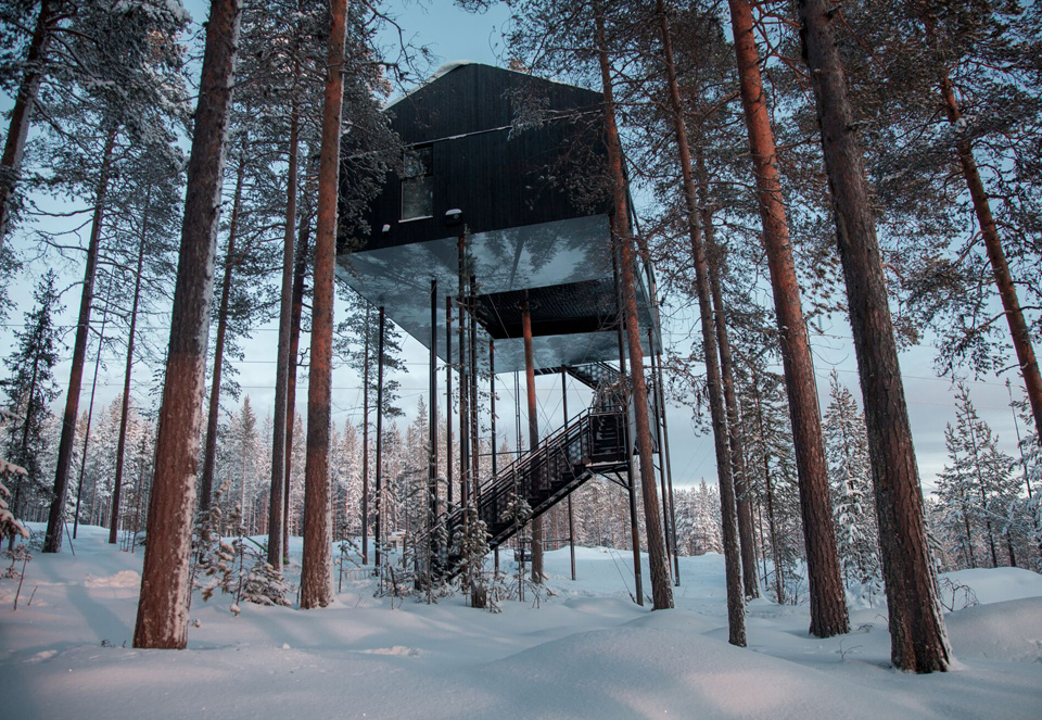 TreeHotel (3)
