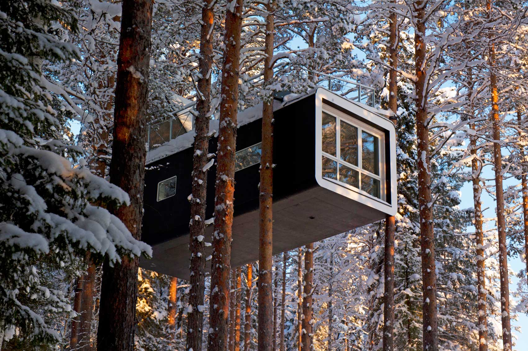 TreeHotel (6)