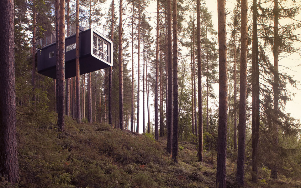 Tree Hotel room in the trees
