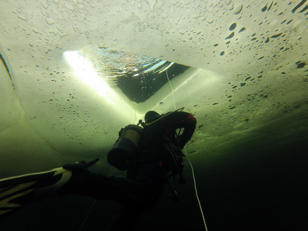 Diving2