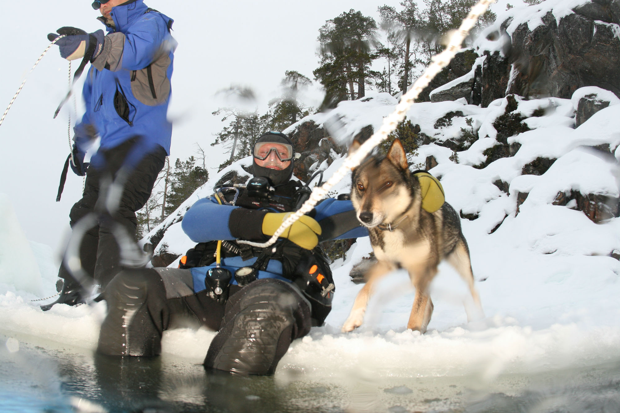 DogIce1