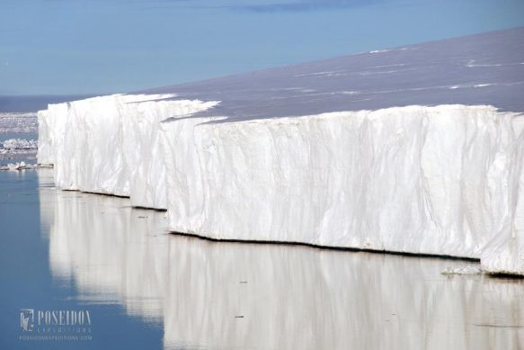 Polar Bears – Spitsbergen Adventure