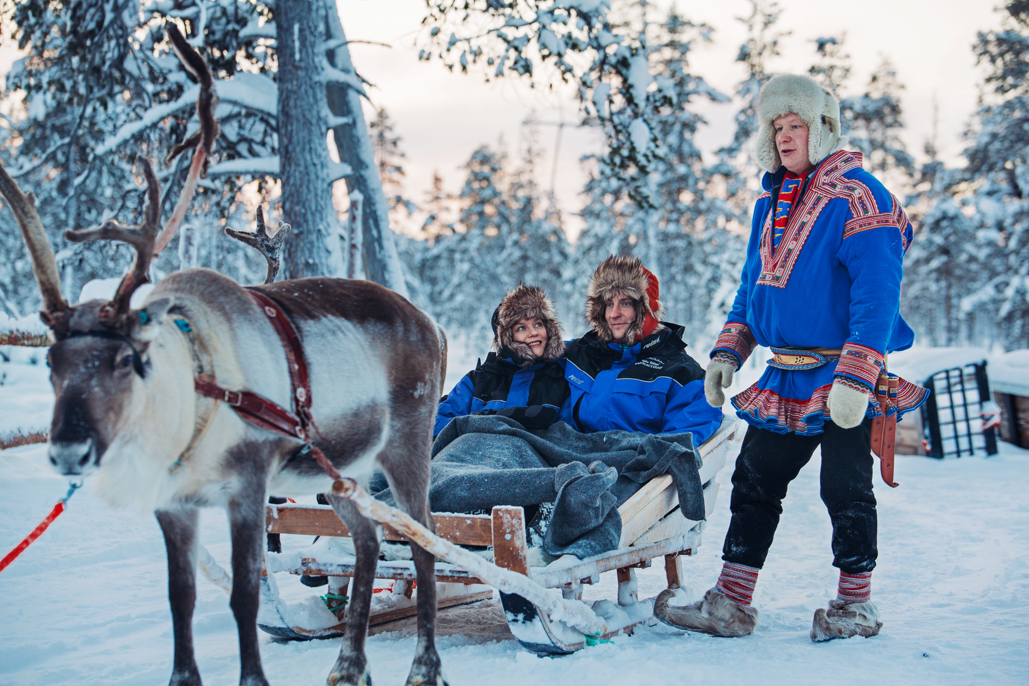 Kakslauttanen reindeer safari
