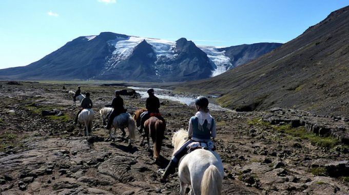 arctic-horse-riding-experience