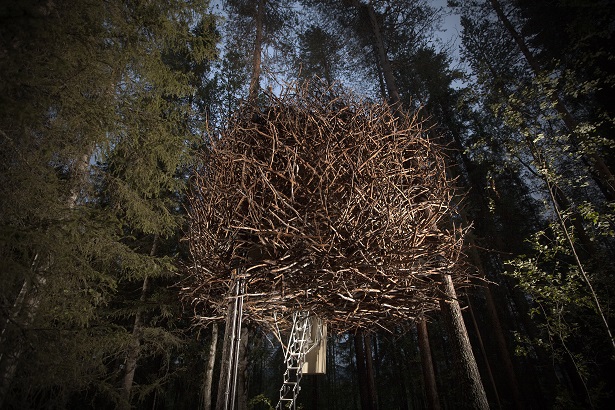 birds_nest_exterior_2