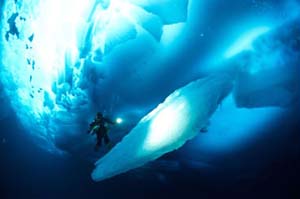 Dive at the North Pole
