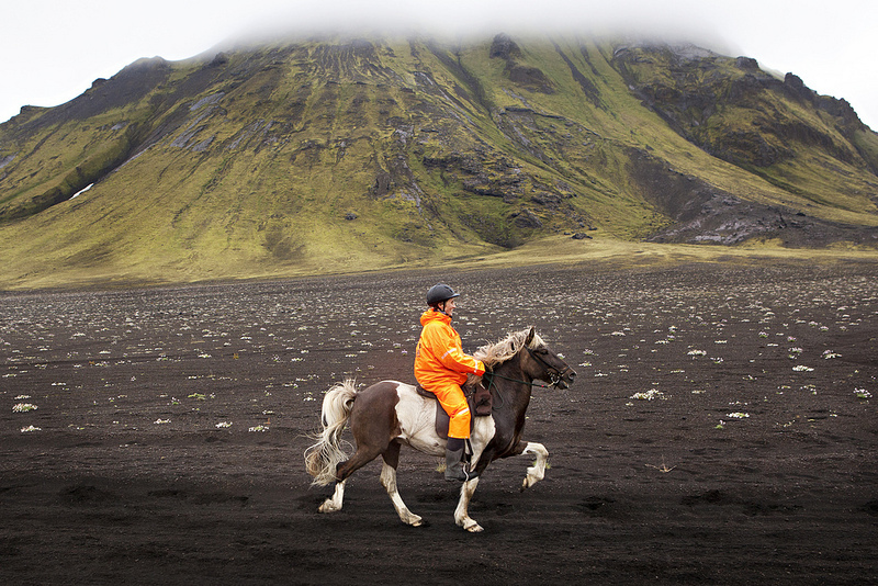 Northern Lights Horse Riding of Icelandic Horses in Iceland
