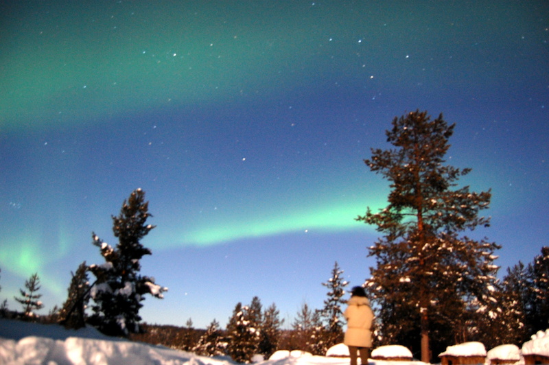 See the Northern Lights Kiruna Arctic Direct
