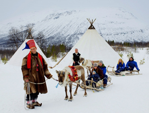 reindeer-norway