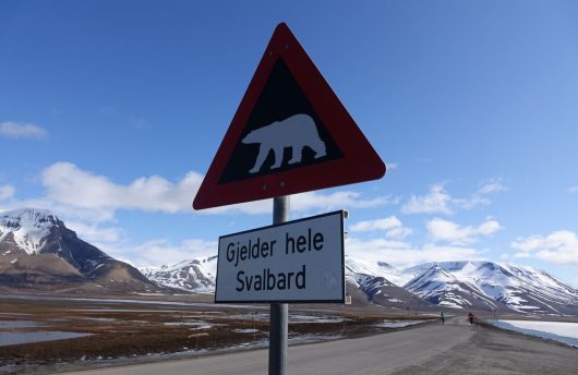 Spitsbergen Marathon