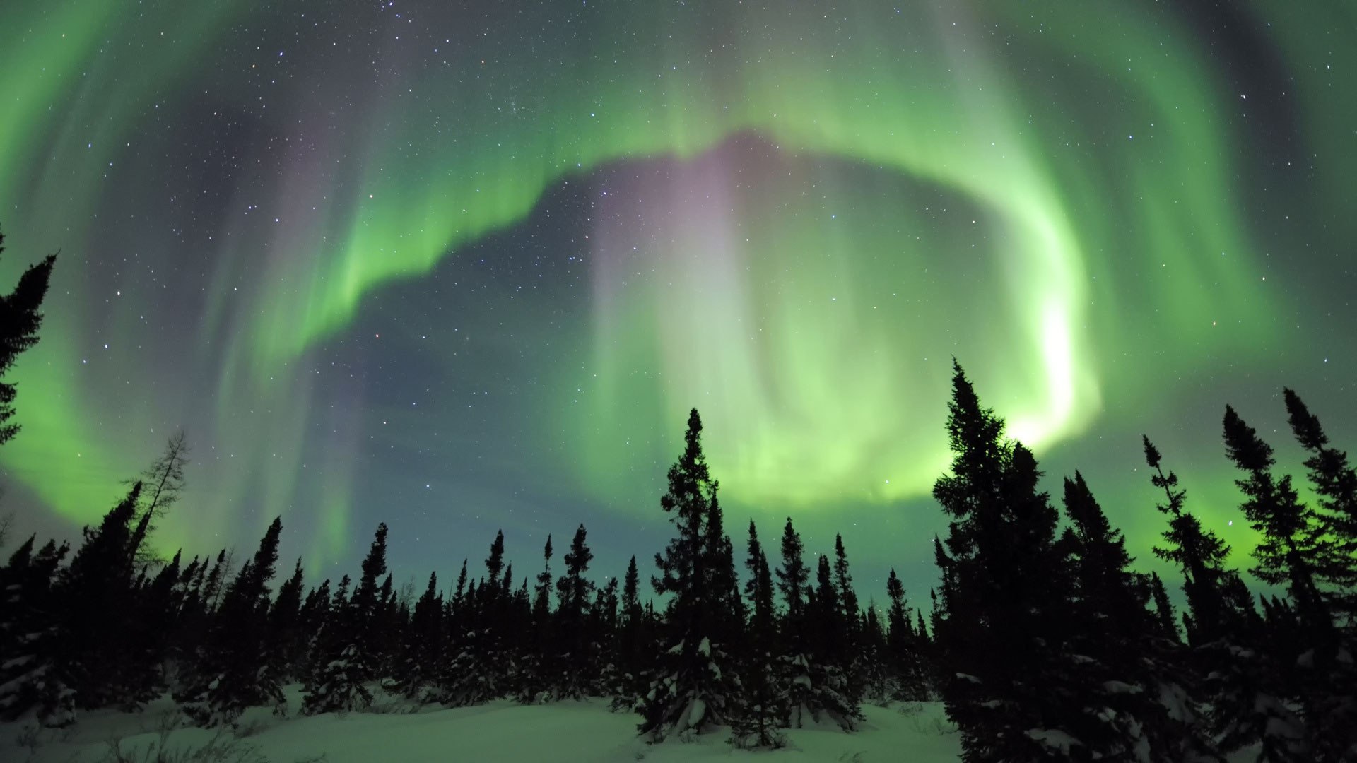 Northern Lights Apukka 1