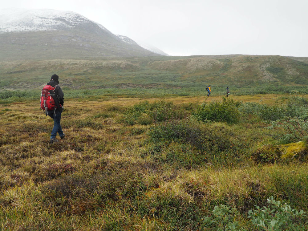 Greenland10
