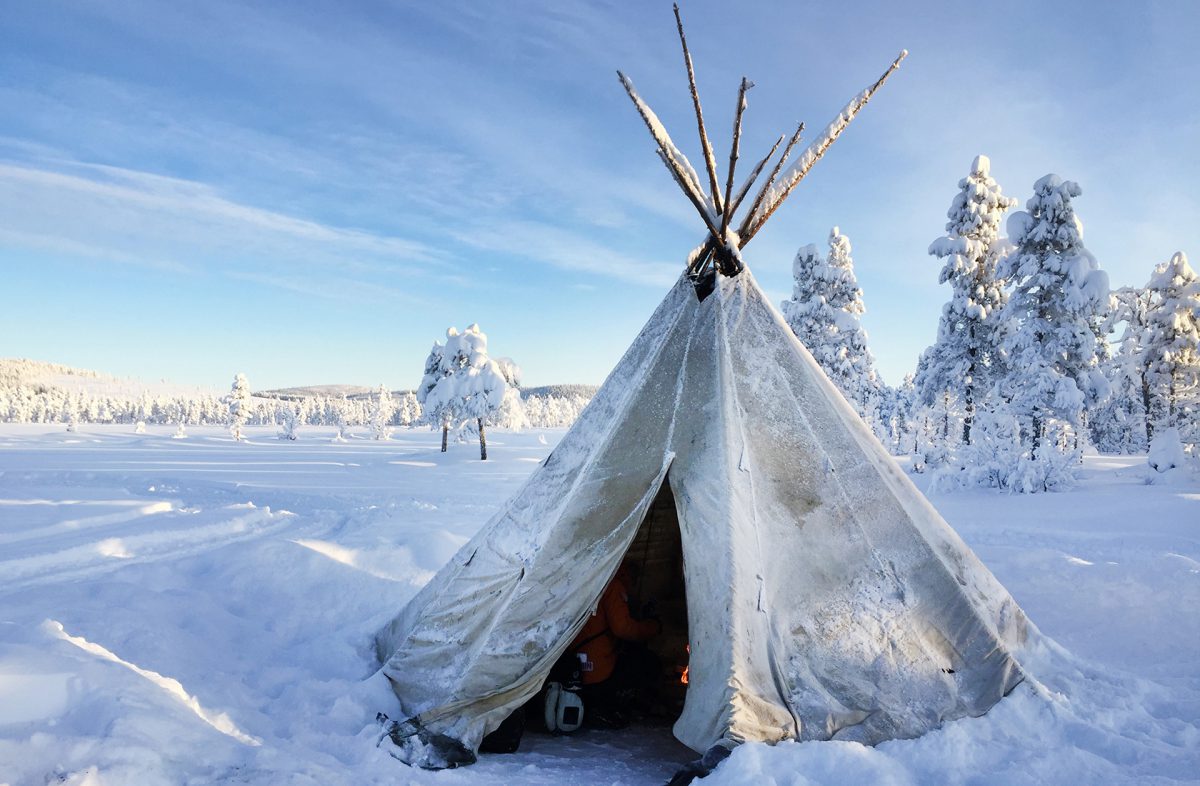 Camp_Ripan_Activity_Winter_Dog_sled_2785_PHOTO_Lapland_Sleddog_Adventures_WEBB-1200x786