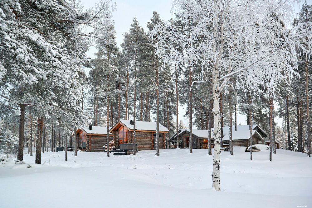 Arctic Retreat (4)