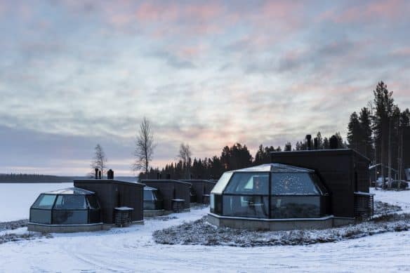 Arctic Fox Glass Igloos