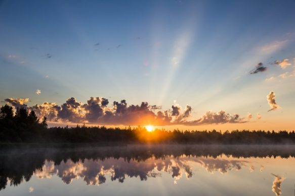 Midnight Sun
