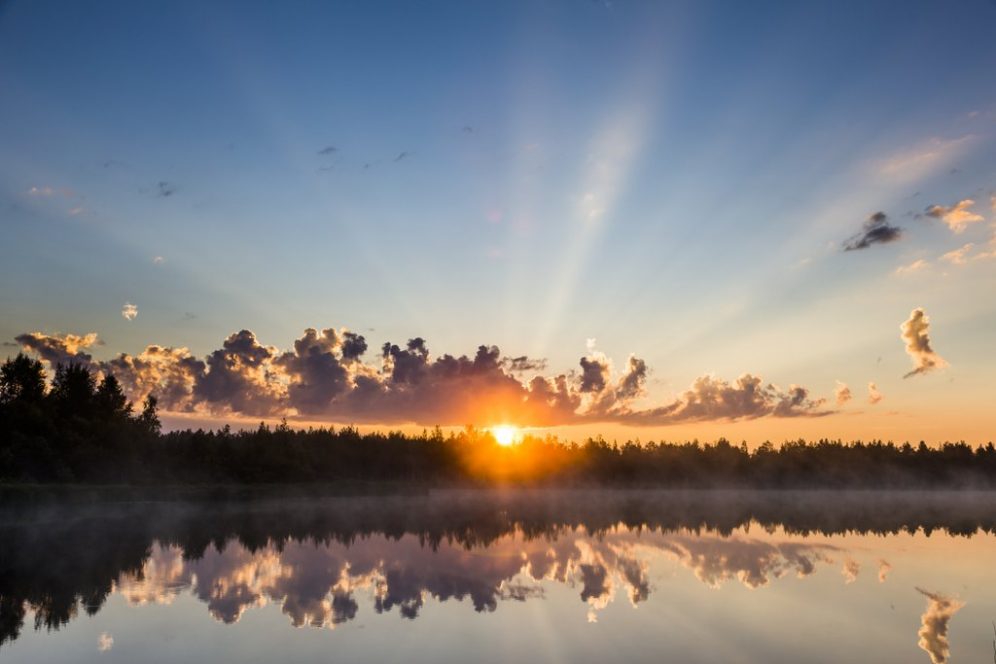 Midnight Sun