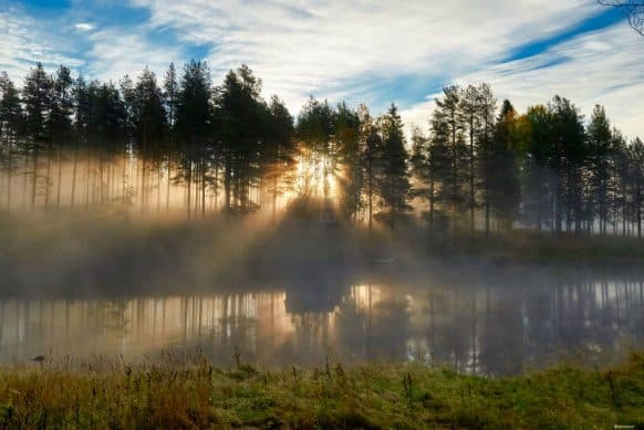 Sunrise in Sweden