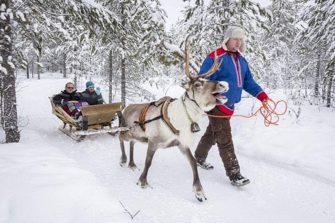 snowmobile to reindeer farm