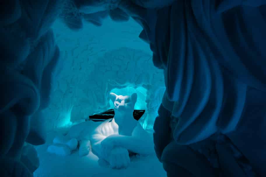 small feline lair ice design