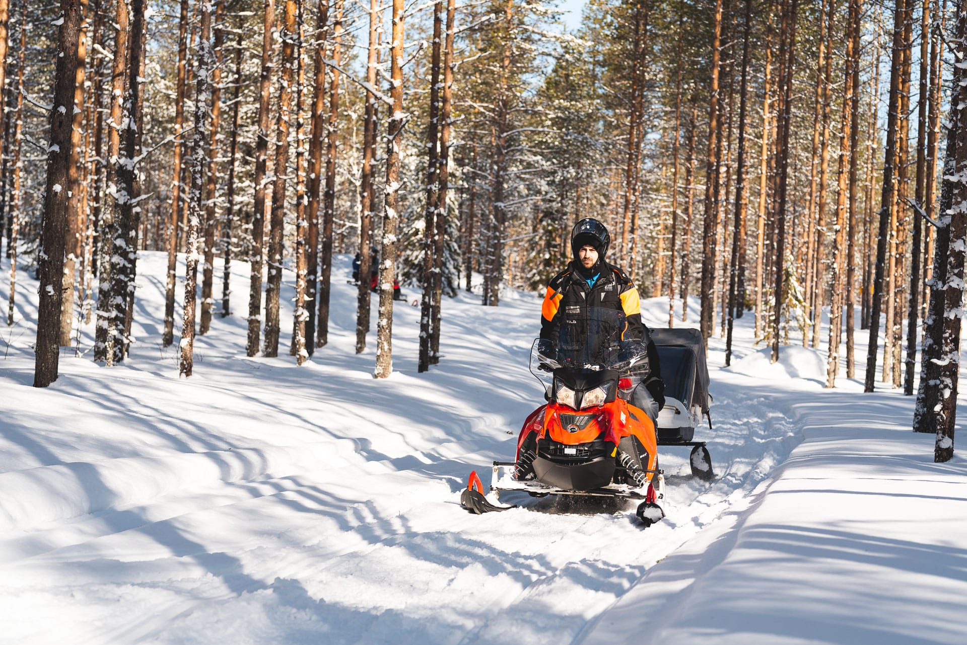 Easy Snowmobile Safari
