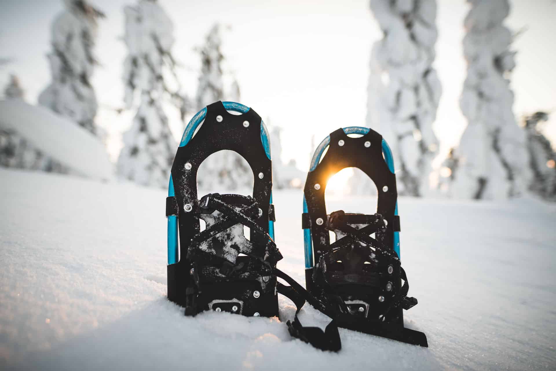 Snowshoeing at the Arctic Circle