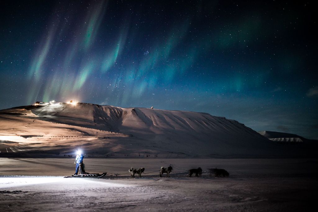 Dog sled under NL