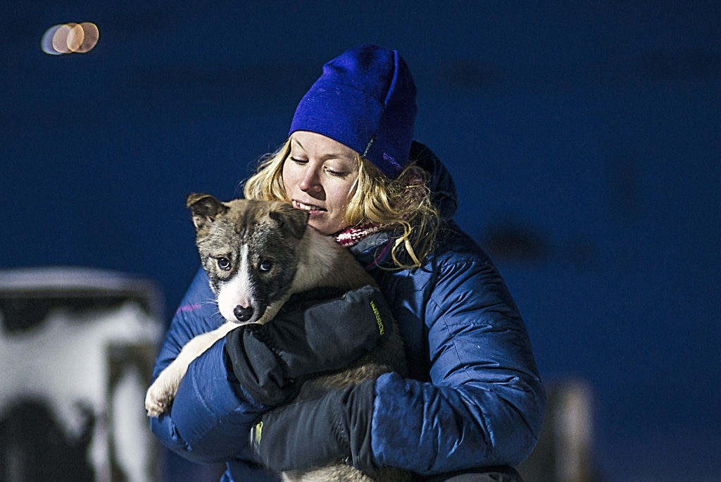 Polar dog