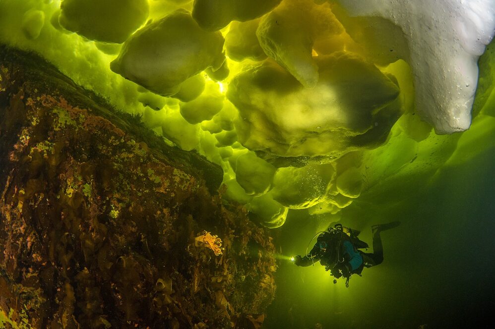 White sea Ice diving