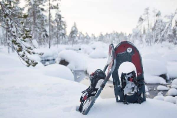 AuroraGentleSnowshoeing resize