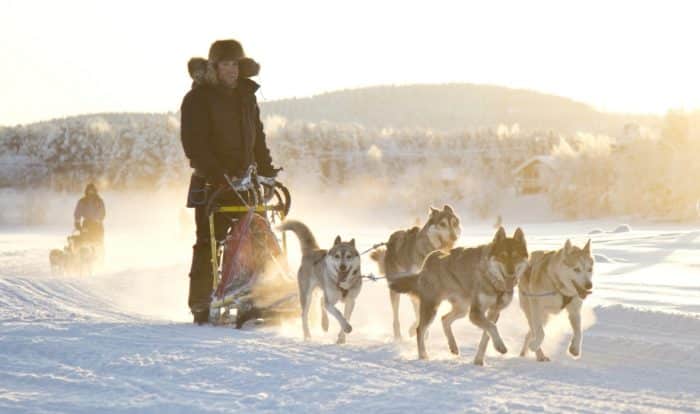 Husky03-700x414