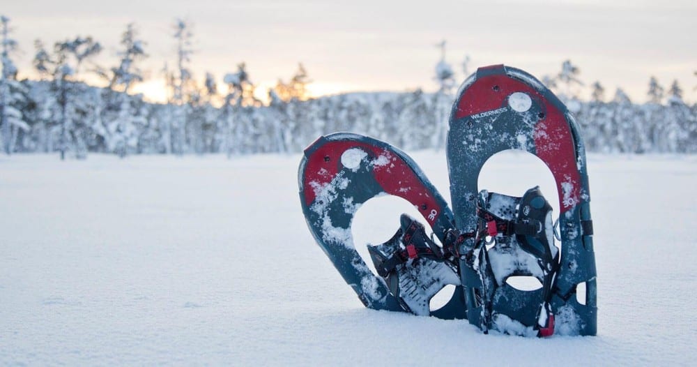 Snowshoes