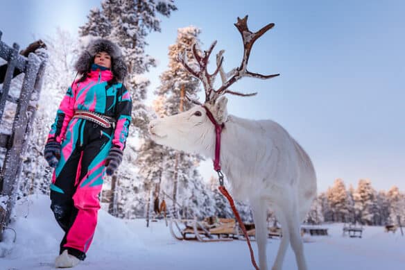 7 night Winter Adventure week at Muotka Wilderness Hotel