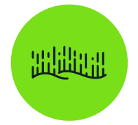 Northern Lights - Roundel Icon
