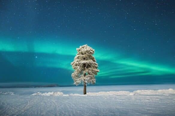 7 Night Winter Adventure week at Nellim Wilderness Hotel