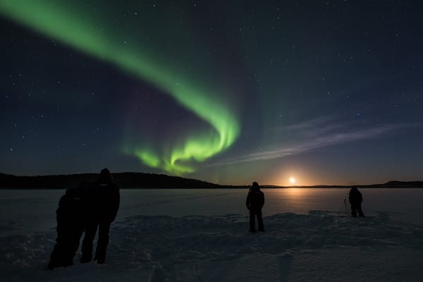 Auroras-8866-2-M