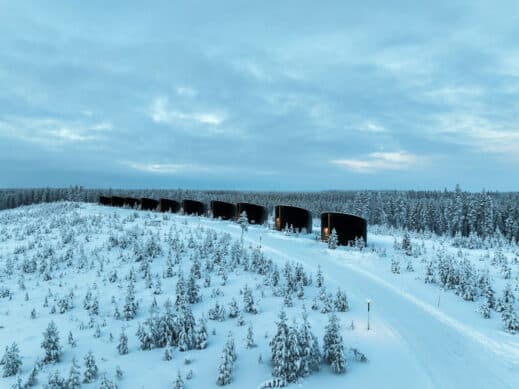 Livo Arctic
