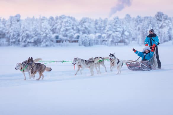 7 night Winter Adventure Week at Nangu Wilderness Hotel
