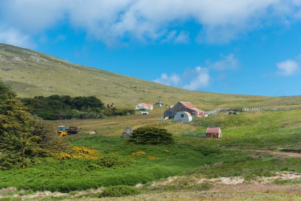 A_farm_Carcass_Island_Falkland_Islands_HGR_118206_Photo_Karsten_Bidstrup
