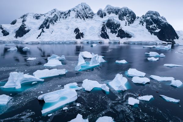 Antarctica_Hovgaard_Island_HGR_167007_Photo_Espen_Mills