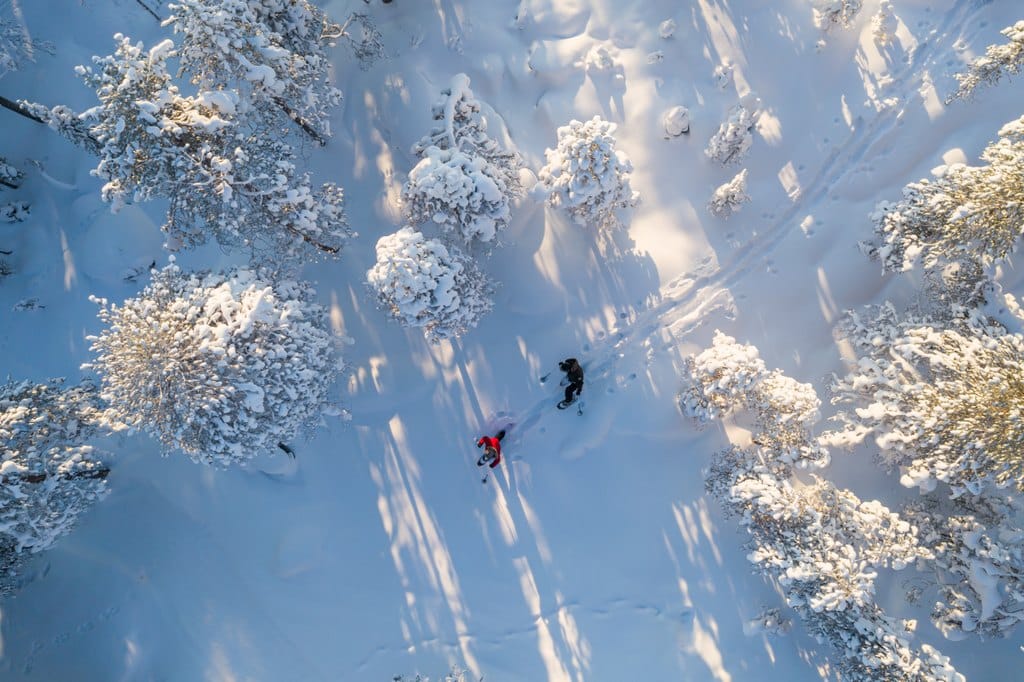 Arctic TreeHouse Hotel Activities (14)