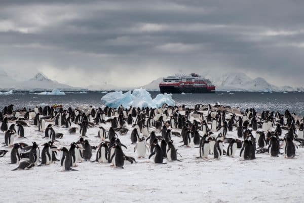 Cuverville_Island_Antarctica_HGR_142035_Photo_Andrea_Klaussner