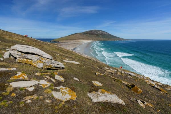Saunders_Island_Falklands_HGR_155076_Photo_Yuri_Matisse_Choufour
