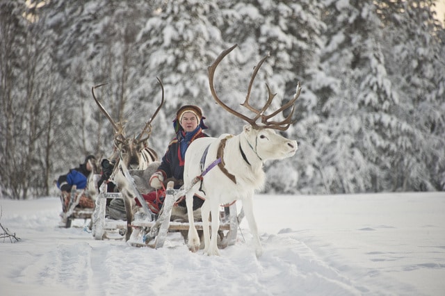 Reindeer safari Kakslauttanen 4