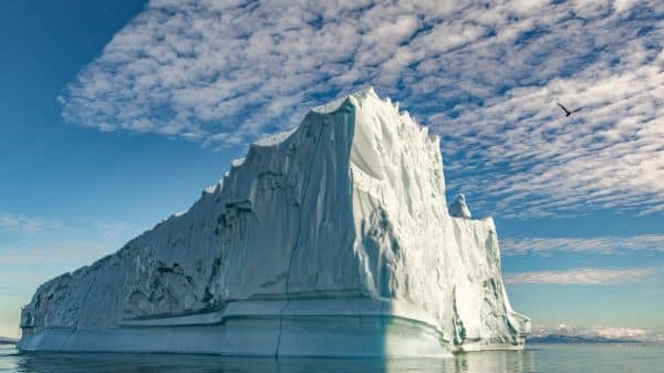 the icy giants Greenland
