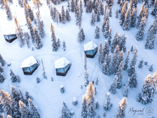Magical Pond Igloos
