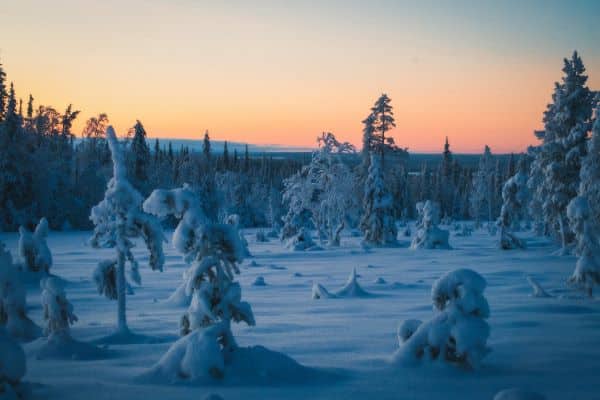 silence_in_the_north_domain (1)
