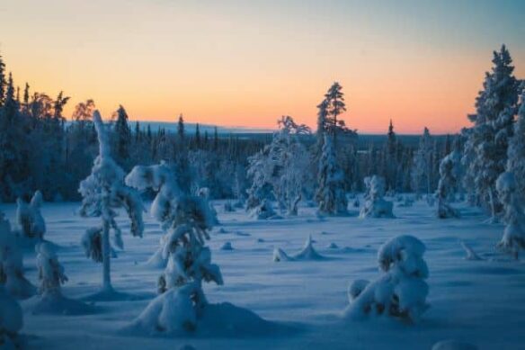 North Frontier Bucket List Lapland