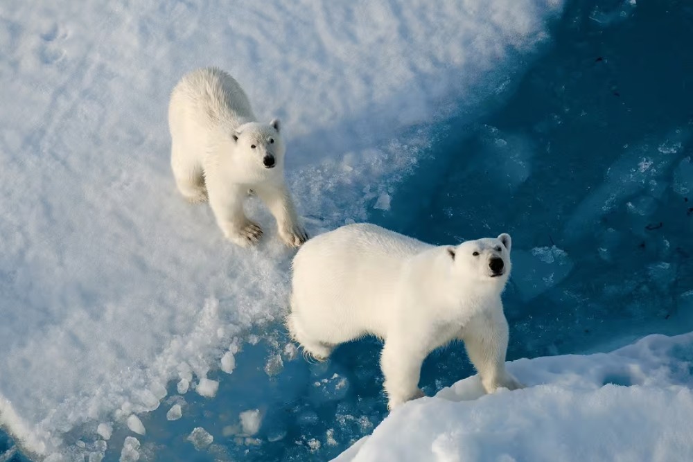 North-Pole-18