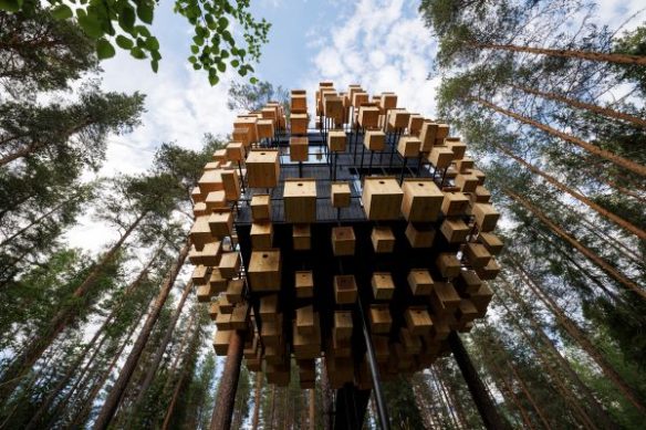 Tree Hotel